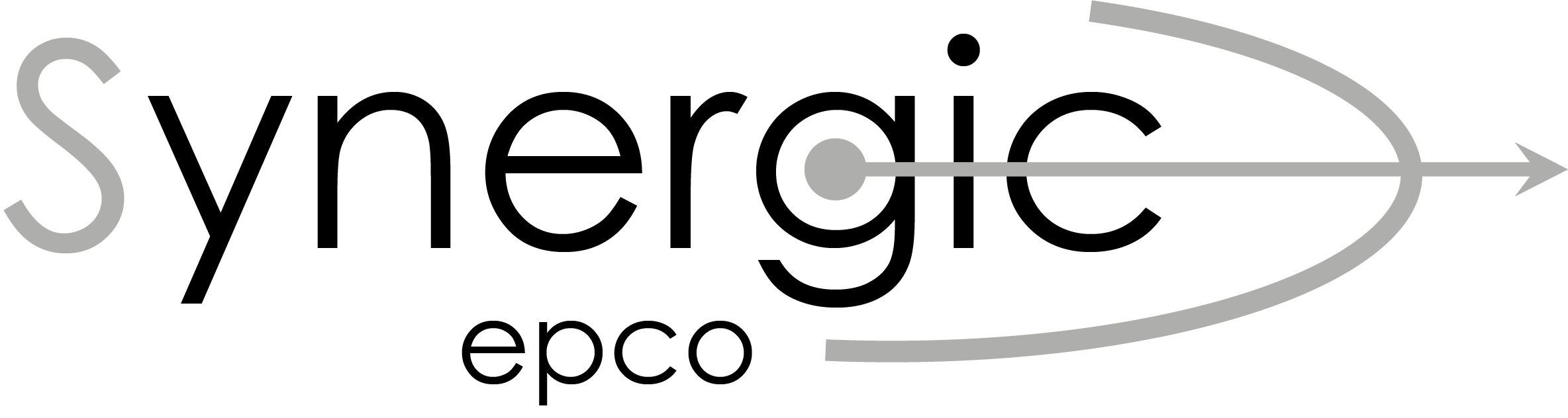 logo-synergic-optimise